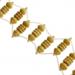 Деревянный ленточный массажер